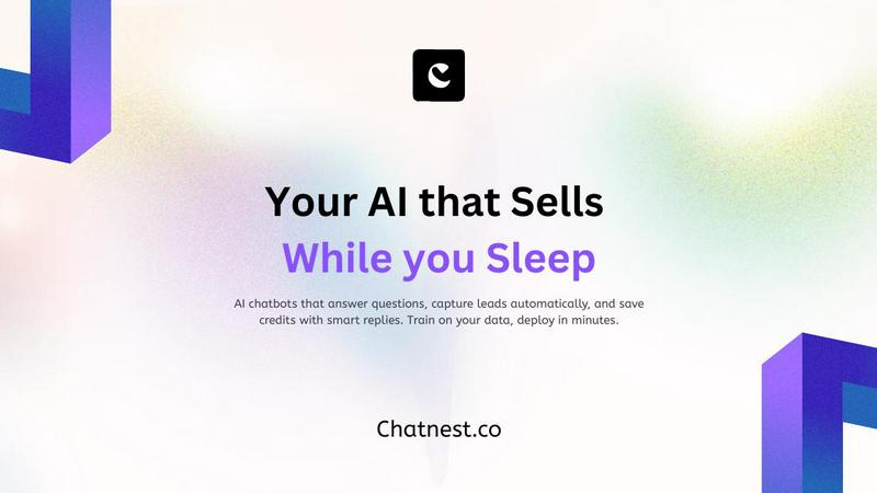 Chatnest application interface and features
