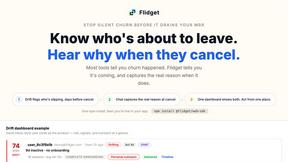 Flidget - AI tool for Analytics & Data