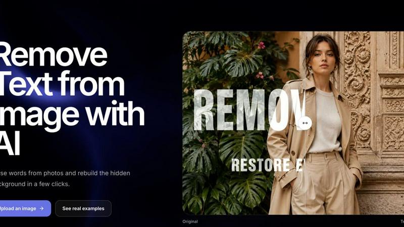 RemoveText application interface and features